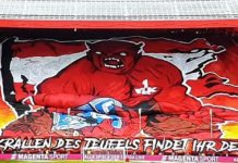 1. FC Kaiserslautern – SV Waldhof Mannheim, 01.09.2019, 1:1